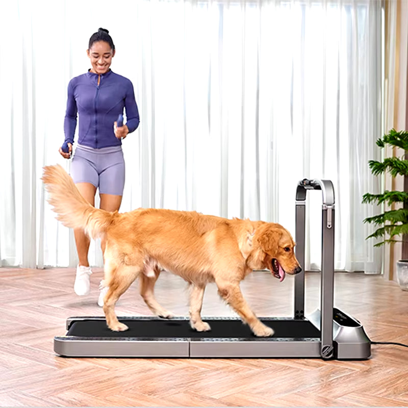 12KM/H Folding Treadmill R2 Walking and Running 2 in 1 Treadmill Home Gym Fitness Equipment, under Desk Treadmill